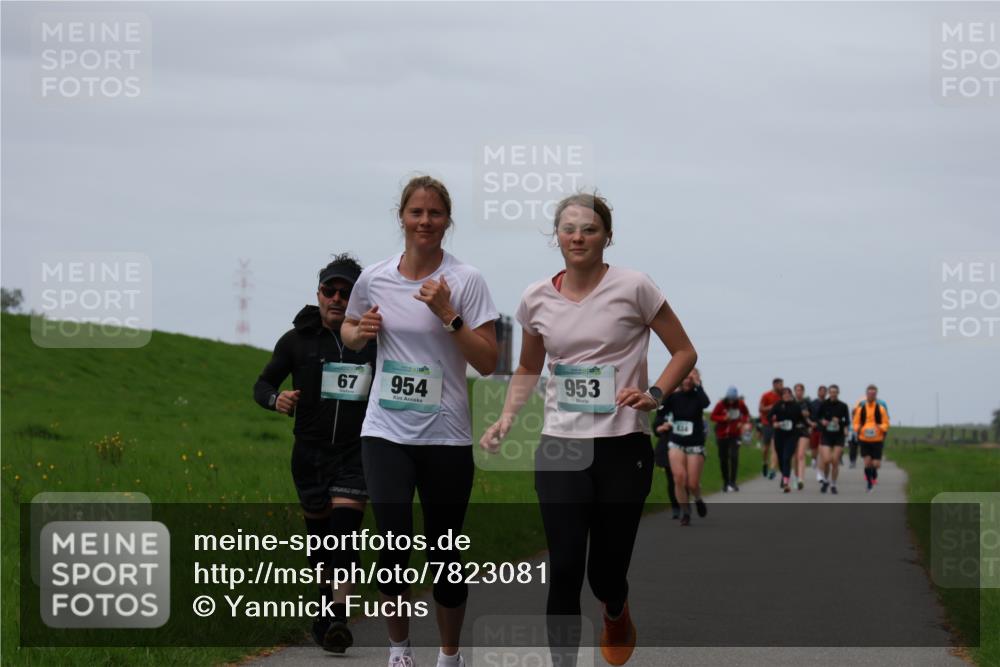 04.05.2025 - 8. Wedeler Halbmarathon Yannick Fuchs http://msf.ph/oto/7823081 04.05.2025 11:30:08 Laufen 67, 954, 953 meine-sportfotos.de