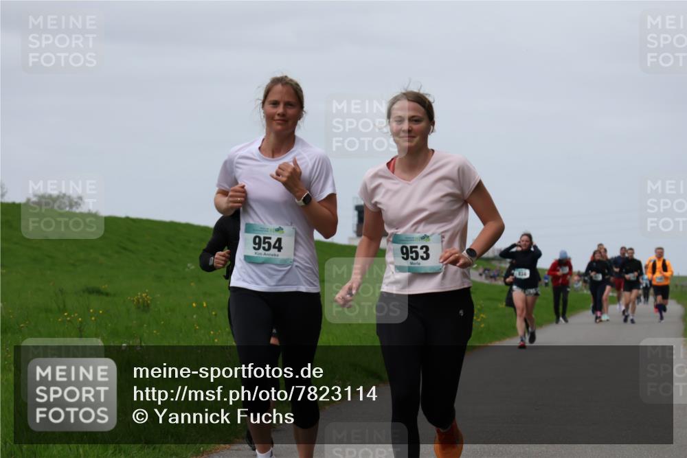 04.05.2025 - 8. Wedeler Halbmarathon Yannick Fuchs http://msf.ph/oto/7823114 04.05.2025 11:30:09 Laufen 954, 953, 834 meine-sportfotos.de