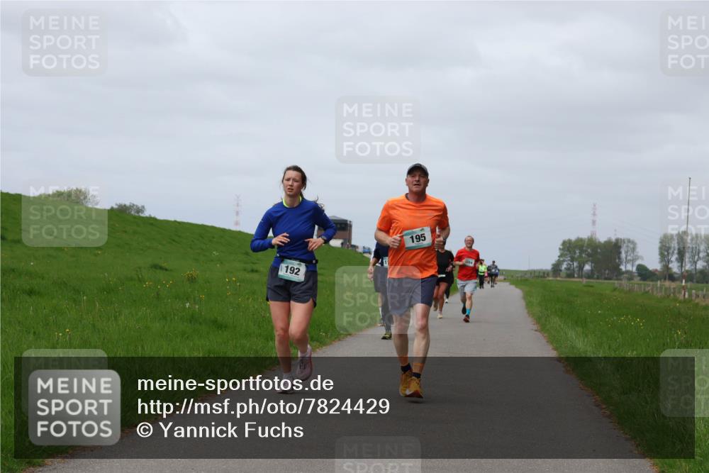 04.05.2025 - 8. Wedeler Halbmarathon Yannick Fuchs http://msf.ph/oto/7824429 04.05.2025 11:53:35 Laufen 192, 195 meine-sportfotos.de
