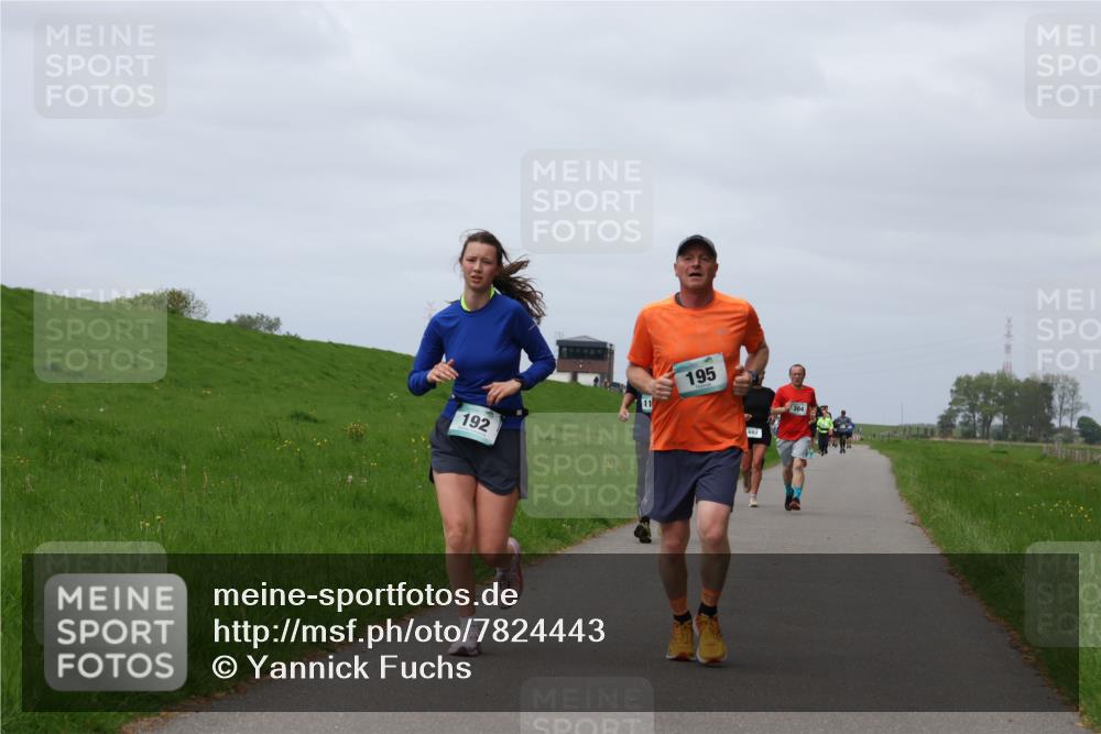 04.05.2025 - 8. Wedeler Halbmarathon Yannick Fuchs http://msf.ph/oto/7824443 04.05.2025 11:53:36 Laufen 192, 11, 195, 682 meine-sportfotos.de