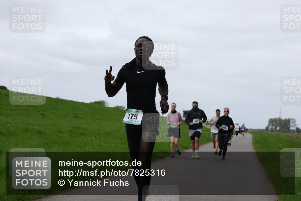 04.05.2025 - 8. Wedeler Halbmarathon Yannick Fuchs http://msf.ph/oto/7825316 04.05.2025 11:32:17 Laufen 175, 71, 1186, 1187, 1031 meine-sportfotos.de