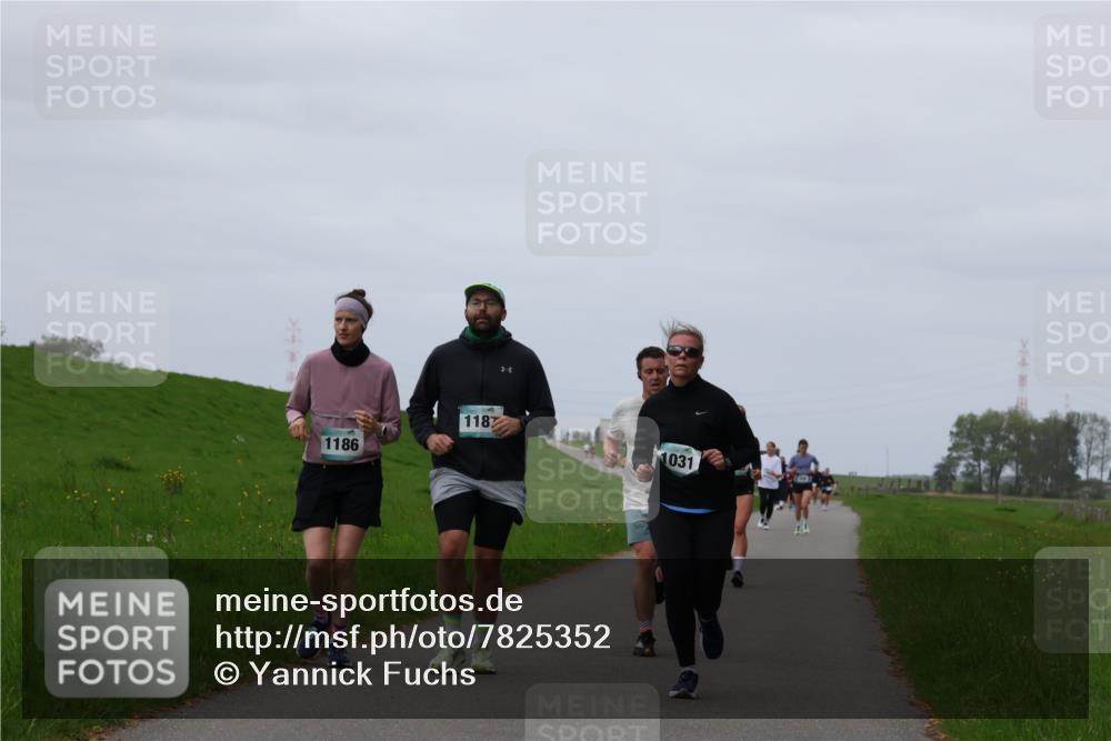 04.05.2025 - 8. Wedeler Halbmarathon Yannick Fuchs http://msf.ph/oto/7825352 04.05.2025 11:32:18 Laufen 1186, 118, 1031 meine-sportfotos.de