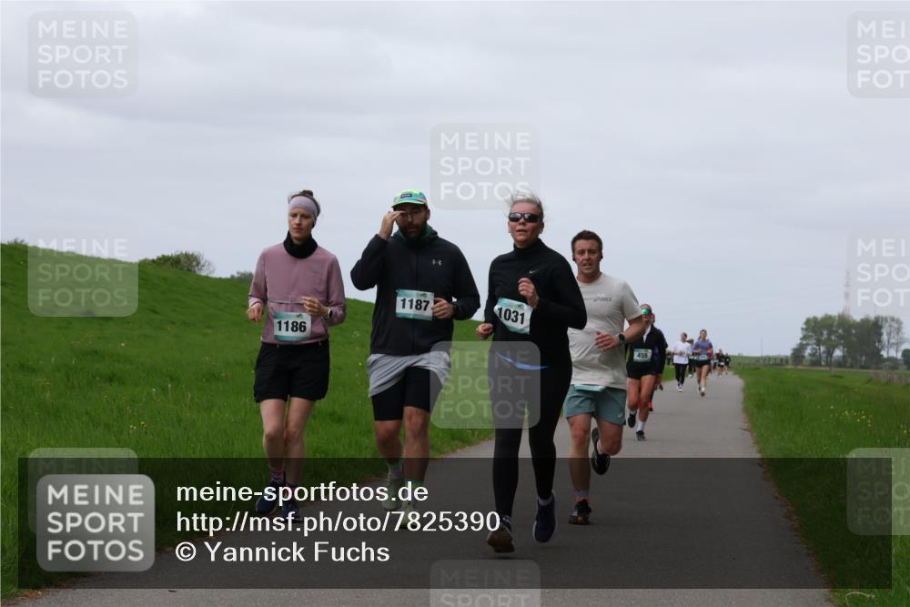 04.05.2025 - 8. Wedeler Halbmarathon Yannick Fuchs http://msf.ph/oto/7825390 04.05.2025 11:32:20 Laufen 1187, 1031, 1186, 455 meine-sportfotos.de