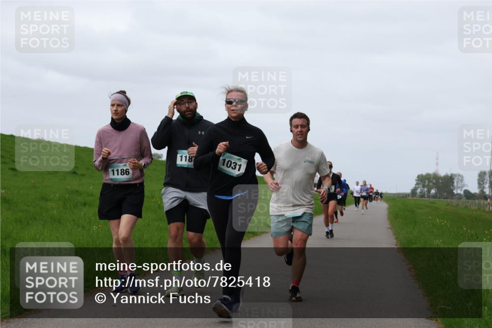 04.05.2025 - 8. Wedeler Halbmarathon Yannick Fuchs http://msf.ph/oto/7825418 04.05.2025 11:32:22 Laufen 1187, 1031, 1186 meine-sportfotos.de