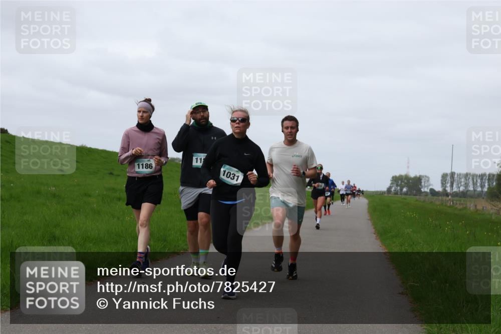 04.05.2025 - 8. Wedeler Halbmarathon Yannick Fuchs http://msf.ph/oto/7825427 04.05.2025 11:32:22 Laufen 1186, 11, 1031 meine-sportfotos.de