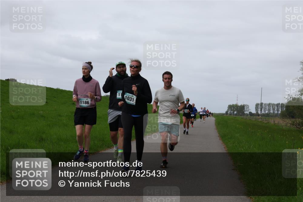 04.05.2025 - 8. Wedeler Halbmarathon Yannick Fuchs http://msf.ph/oto/7825439 04.05.2025 11:32:22 Laufen 11, 1186, 1031 meine-sportfotos.de