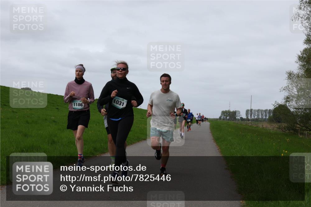 04.05.2025 - 8. Wedeler Halbmarathon Yannick Fuchs http://msf.ph/oto/7825446 04.05.2025 11:32:22 Laufen 1186, 1031 meine-sportfotos.de