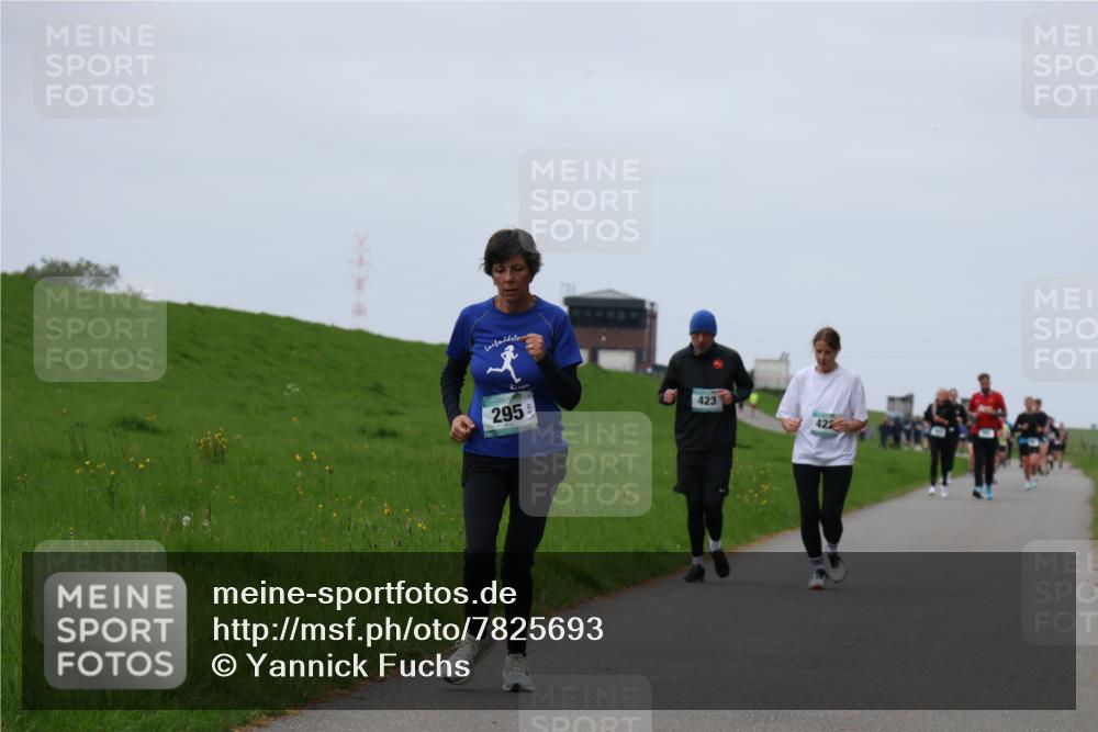 04.05.2025 - 8. Wedeler Halbmarathon Yannick Fuchs http://msf.ph/oto/7825693 04.05.2025 11:32:37 Laufen 295, 423, 422 meine-sportfotos.de