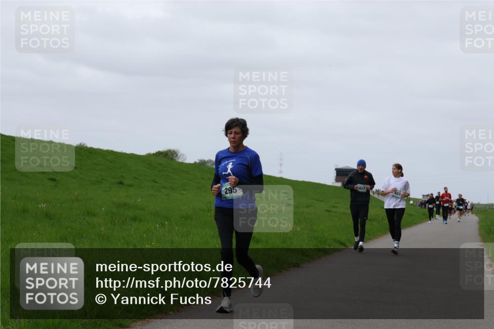 04.05.2025 - 8. Wedeler Halbmarathon Yannick Fuchs http://msf.ph/oto/7825744 04.05.2025 11:32:39 Laufen 295, 423 meine-sportfotos.de
