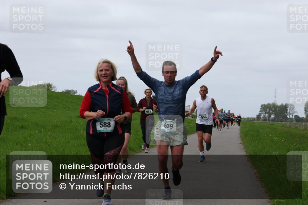 04.05.2025 - 8. Wedeler Halbmarathon Yannick Fuchs http://msf.ph/oto/7826210 04.05.2025 11:33:14 Laufen 588, 668, 639, 558 meine-sportfotos.de