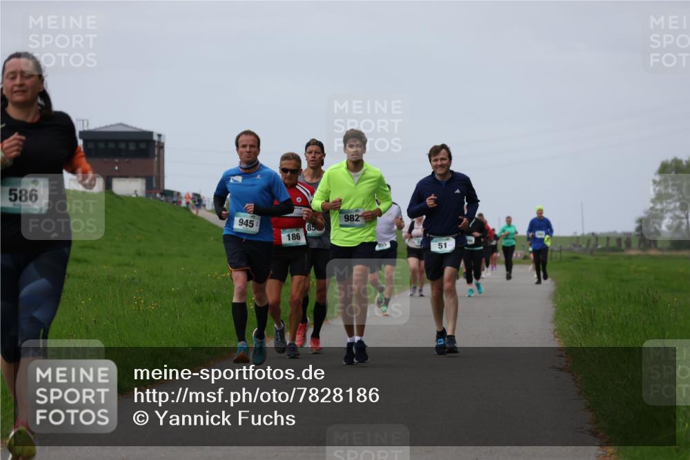 04.05.2025 - 8. Wedeler Halbmarathon Yannick Fuchs http://msf.ph/oto/7828186 04.05.2025 11:35:02 Laufen 586, 945, 85, 186, 982, 855, 51 meine-sportfotos.de