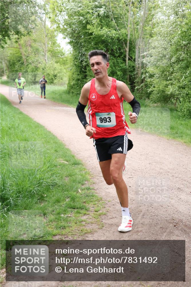 04.05.2025 - 8. Wedeler Halbmarathon Lena Gebhardt http://msf.ph/oto/7831492 04.05.2025 11:18:06 Laufen 993 meine-sportfotos.de