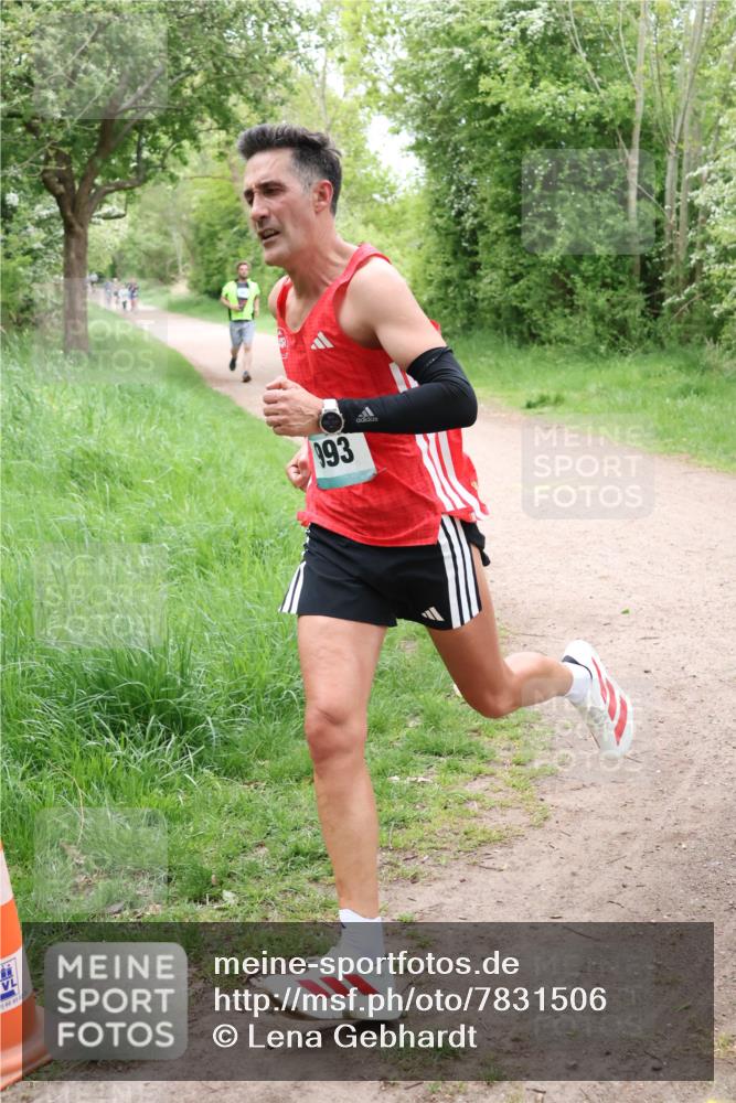 04.05.2025 - 8. Wedeler Halbmarathon Lena Gebhardt http://msf.ph/oto/7831506 04.05.2025 11:18:07 Laufen 66, 93, 02, 2, 193 meine-sportfotos.de