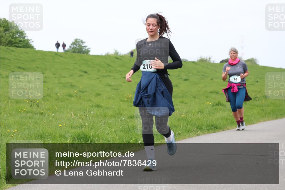 04.05.2025 - 8. Wedeler Halbmarathon Lena Gebhardt http://msf.ph/oto/7836429 04.05.2025 11:30:46 Laufen 210, 14 meine-sportfotos.de
