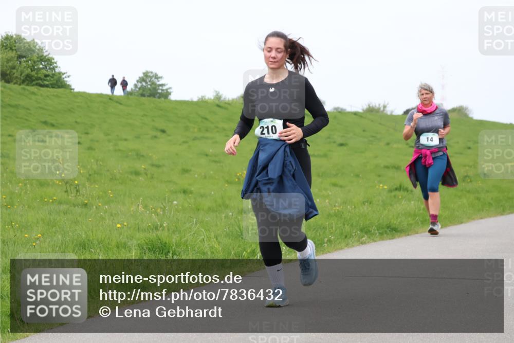 04.05.2025 - 8. Wedeler Halbmarathon Lena Gebhardt http://msf.ph/oto/7836432 04.05.2025 11:30:46 Laufen 210, 14 meine-sportfotos.de