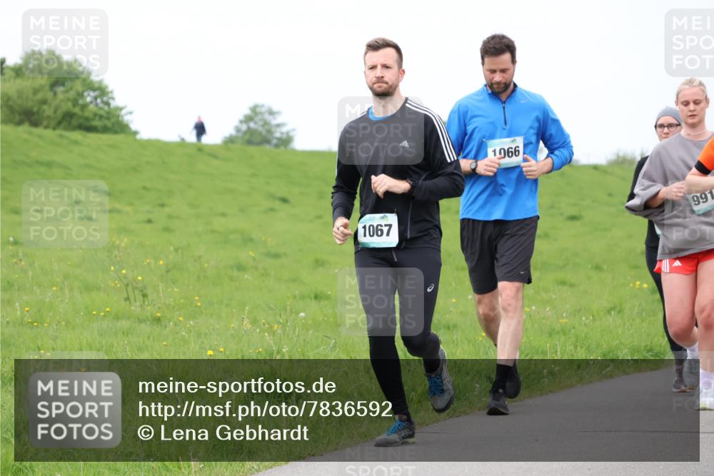 04.05.2025 - 8. Wedeler Halbmarathon Lena Gebhardt http://msf.ph/oto/7836592 04.05.2025 11:31:29 Laufen 1067, 1066, 991 meine-sportfotos.de