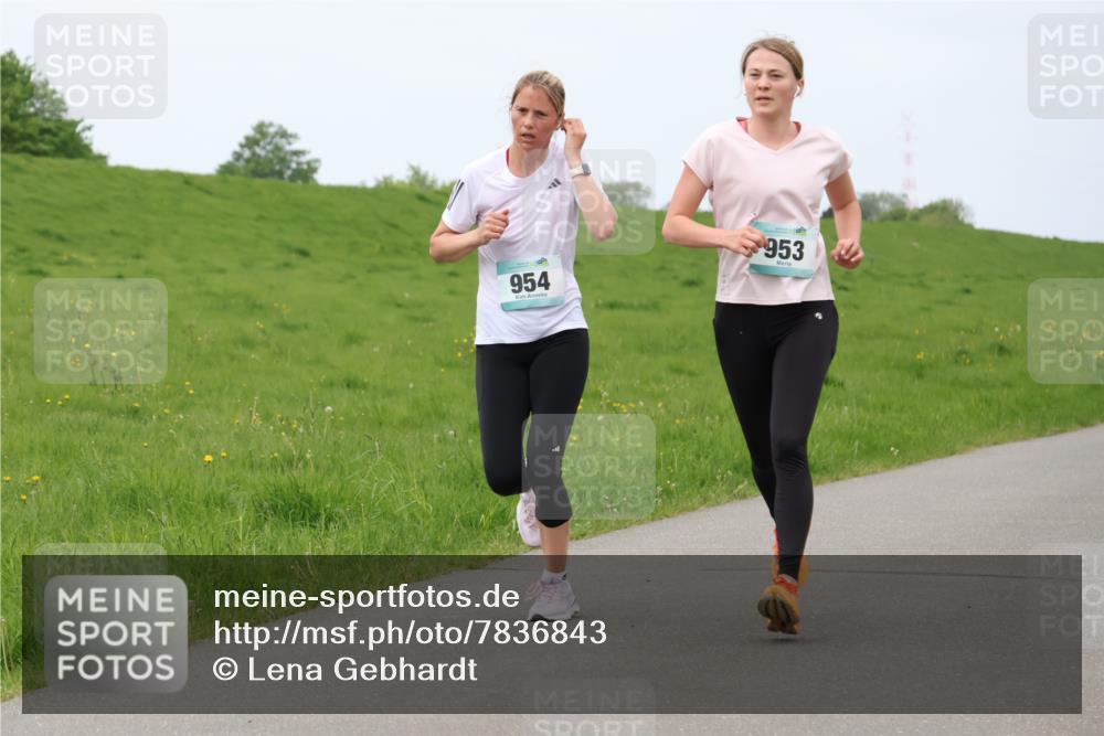 04.05.2025 - 8. Wedeler Halbmarathon Lena Gebhardt http://msf.ph/oto/7836843 04.05.2025 11:31:59 Laufen 954, 953 meine-sportfotos.de