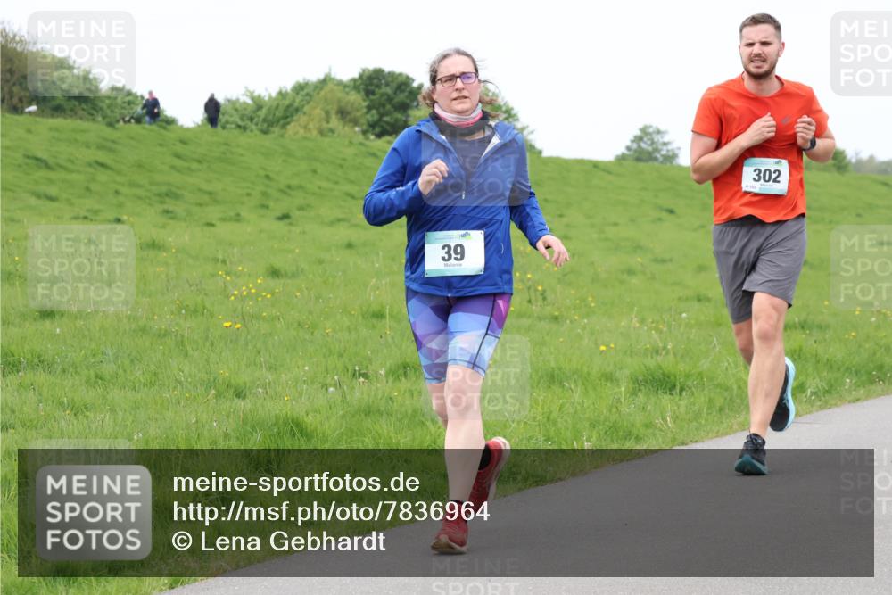 04.05.2025 - 8. Wedeler Halbmarathon Lena Gebhardt http://msf.ph/oto/7836964 04.05.2025 11:32:24 Laufen 39, 302, 102 meine-sportfotos.de