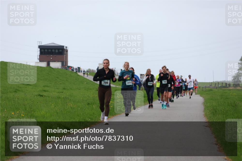 04.05.2025 - 8. Wedeler Halbmarathon Yannick Fuchs http://msf.ph/oto/7837310 04.05.2025 11:24:31 Laufen 799, 1073, 1200, 755 meine-sportfotos.de