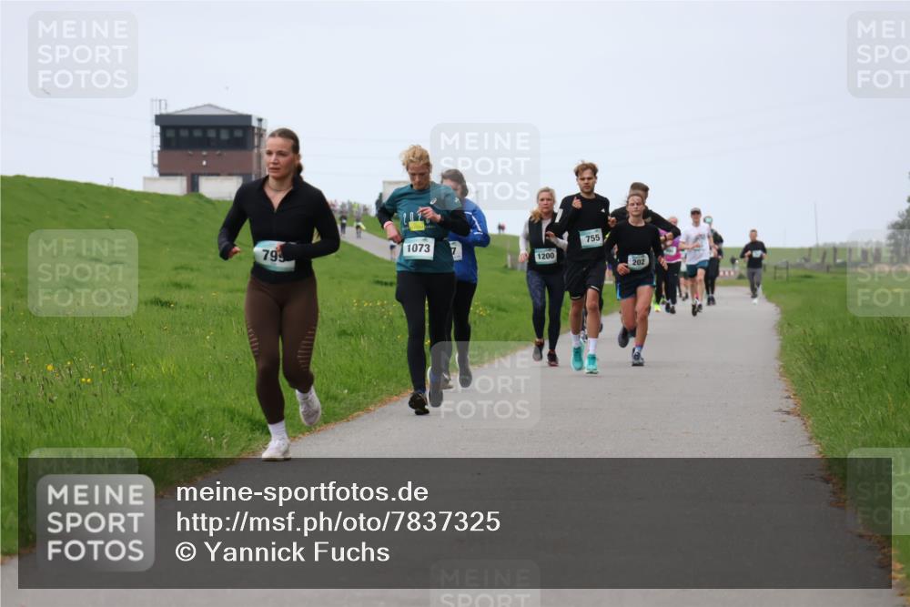 04.05.2025 - 8. Wedeler Halbmarathon Yannick Fuchs http://msf.ph/oto/7837325 04.05.2025 11:24:35 Laufen 799, 1073, 1200, 755, 202 meine-sportfotos.de