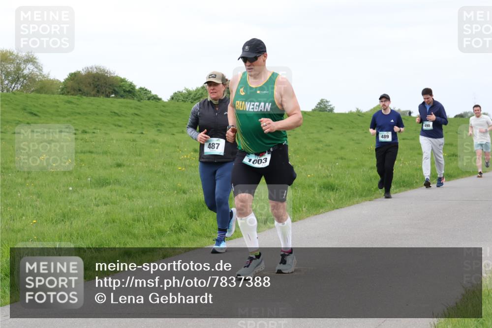 04.05.2025 - 8. Wedeler Halbmarathon Lena Gebhardt http://msf.ph/oto/7837388 04.05.2025 11:34:14 Laufen 487, 1003, 489, 490 meine-sportfotos.de