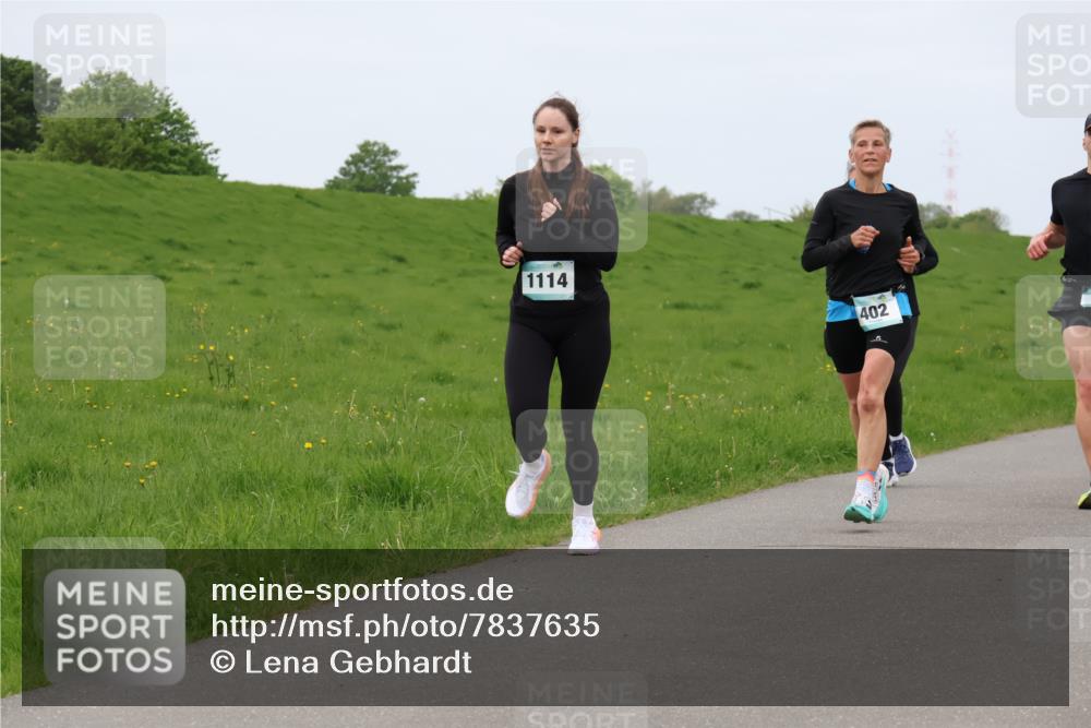 04.05.2025 - 8. Wedeler Halbmarathon Lena Gebhardt http://msf.ph/oto/7837635 04.05.2025 11:34:50 Laufen 1114, 402 meine-sportfotos.de