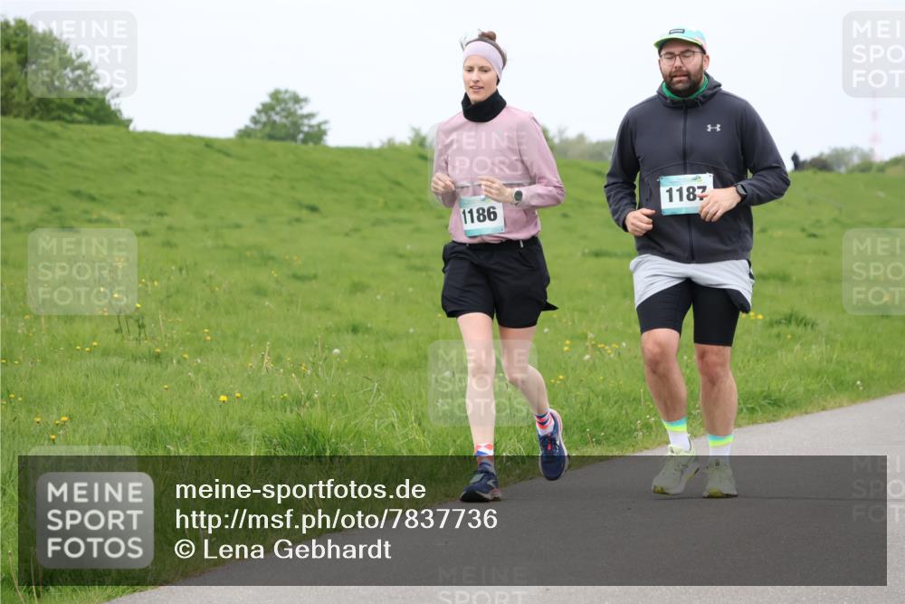 04.05.2025 - 8. Wedeler Halbmarathon Lena Gebhardt http://msf.ph/oto/7837736 04.05.2025 11:35:01 Laufen 1186, 1187 meine-sportfotos.de