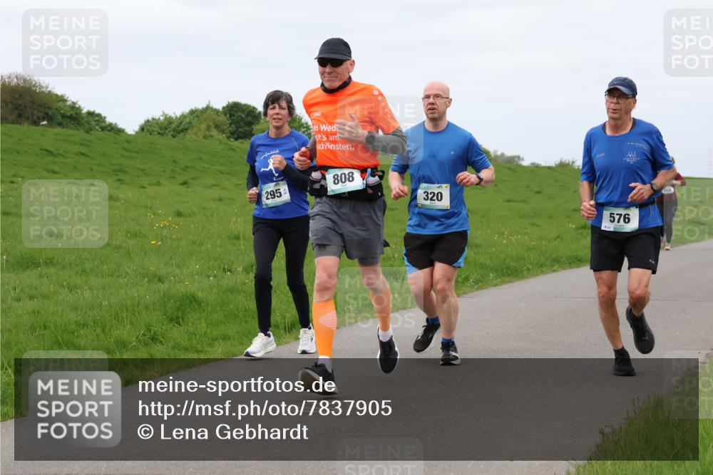 04.05.2025 - 8. Wedeler Halbmarathon Lena Gebhardt http://msf.ph/oto/7837905 04.05.2025 11:35:47 Laufen 295, 808, 320, 576 meine-sportfotos.de