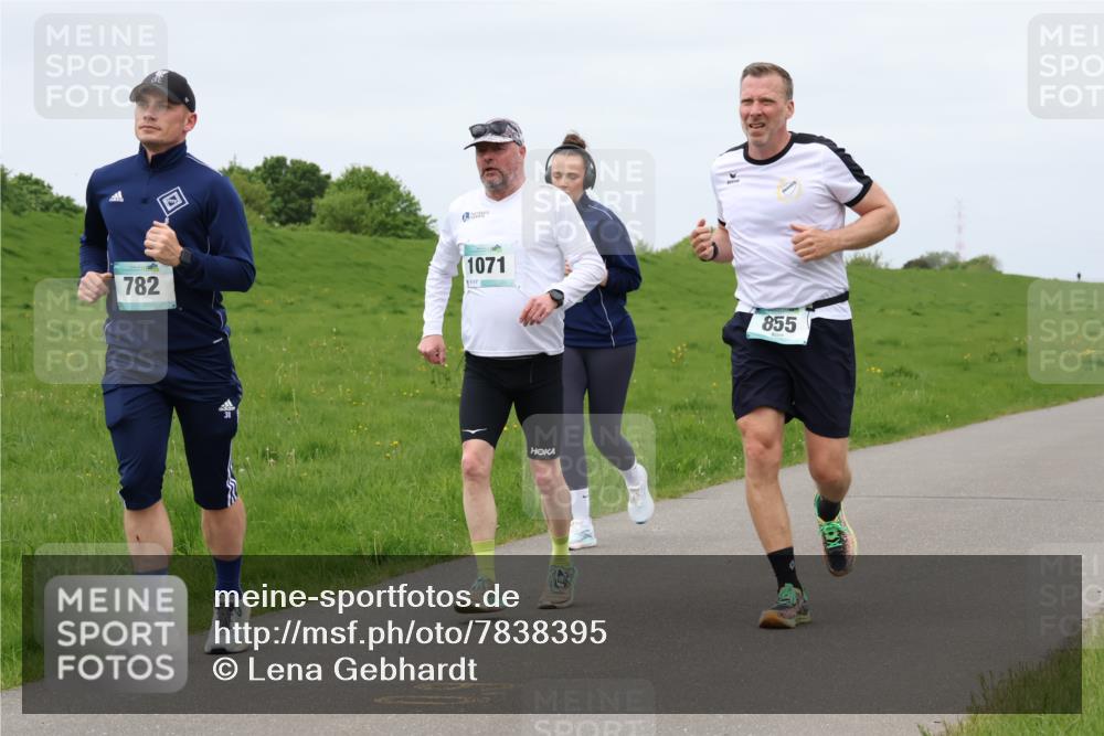 04.05.2025 - 8. Wedeler Halbmarathon Lena Gebhardt http://msf.ph/oto/7838395 04.05.2025 11:37:12 Laufen 782, 1071, 855 meine-sportfotos.de