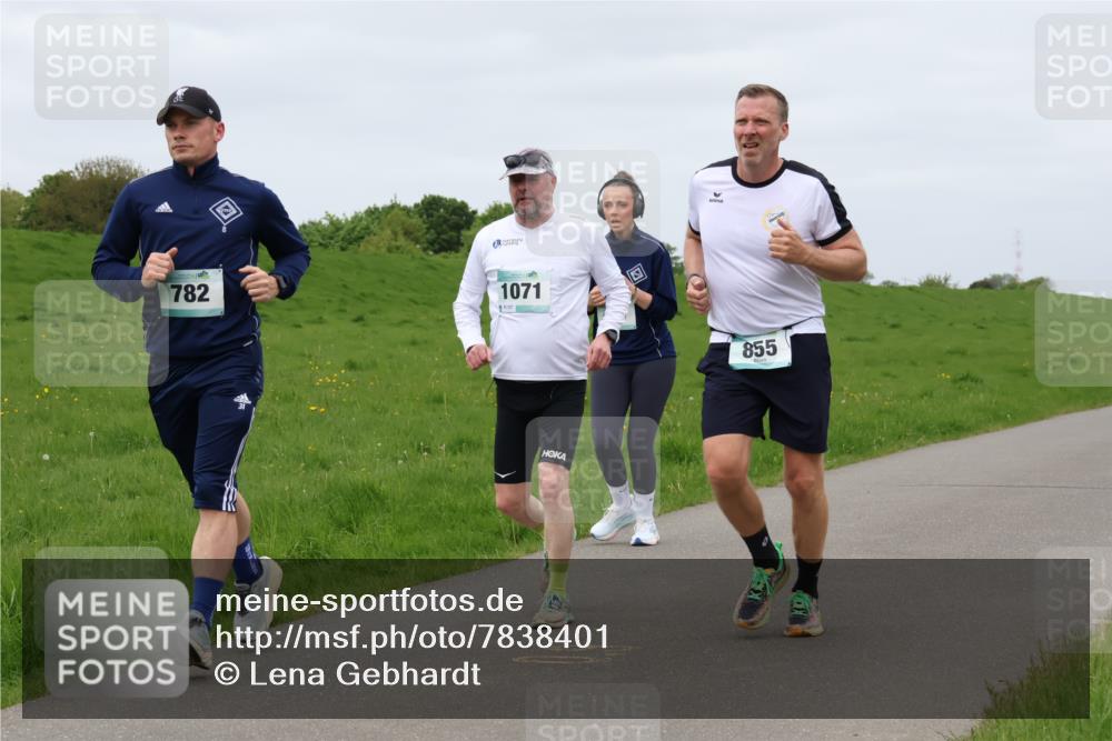 04.05.2025 - 8. Wedeler Halbmarathon Lena Gebhardt http://msf.ph/oto/7838401 04.05.2025 11:37:13 Laufen 782, 1071, 117, 855 meine-sportfotos.de