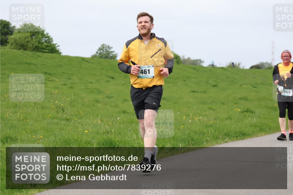 04.05.2025 - 8. Wedeler Halbmarathon Lena Gebhardt http://msf.ph/oto/7839276 04.05.2025 11:42:30 Laufen 461, 763 meine-sportfotos.de