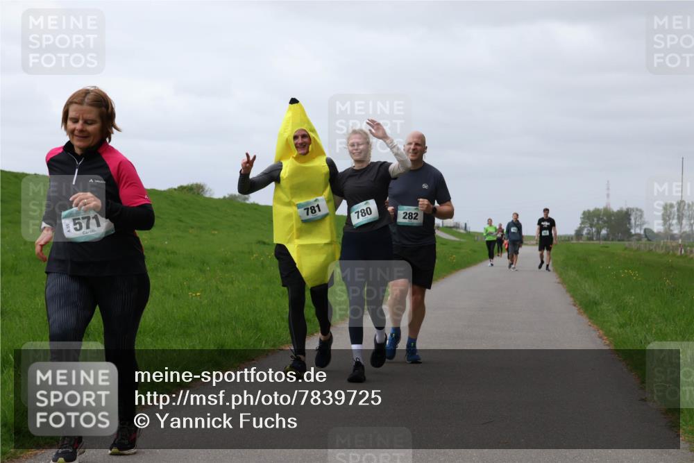 04.05.2025 - 8. Wedeler Halbmarathon Yannick Fuchs http://msf.ph/oto/7839725 04.05.2025 12:04:42 Laufen 571, 781, 780, 282 meine-sportfotos.de