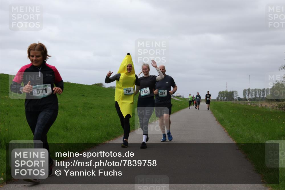 04.05.2025 - 8. Wedeler Halbmarathon Yannick Fuchs http://msf.ph/oto/7839758 04.05.2025 12:04:42 Laufen 571, 781, 780, 282 meine-sportfotos.de