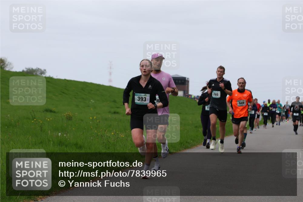 04.05.2025 - 8. Wedeler Halbmarathon Yannick Fuchs http://msf.ph/oto/7839965 04.05.2025 11:26:38 Laufen 6, 393, 90, 81, 265, 949 meine-sportfotos.de