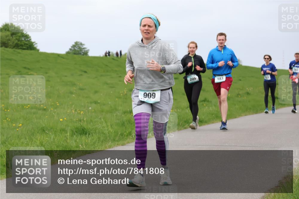 04.05.2025 - 8. Wedeler Halbmarathon Lena Gebhardt http://msf.ph/oto/7841808 04.05.2025 11:59:36 Laufen 909, 72, 205, 183, 223, 261 meine-sportfotos.de
