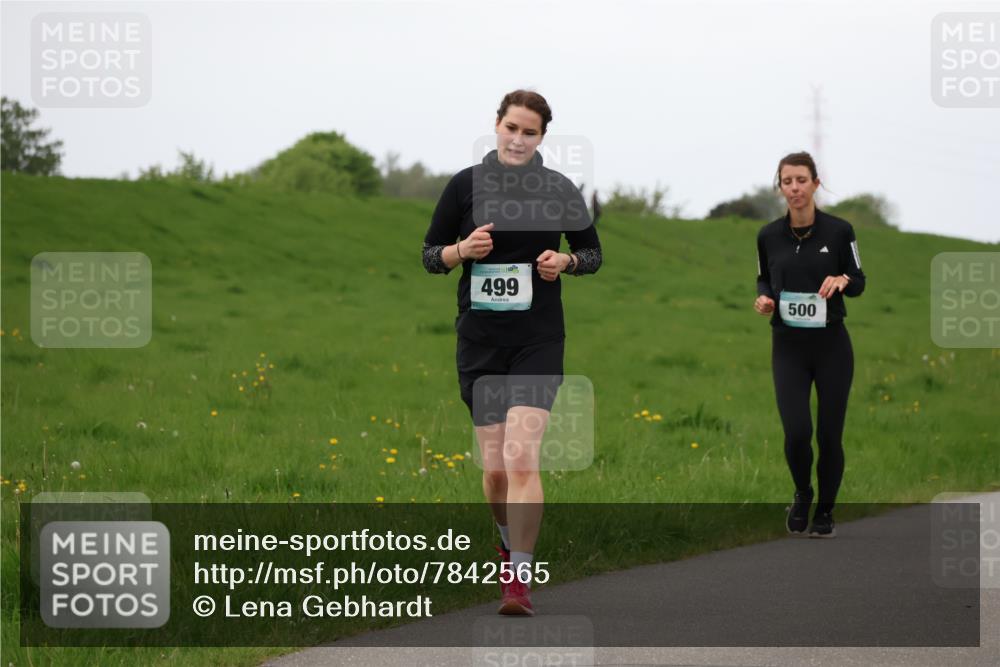 04.05.2025 - 8. Wedeler Halbmarathon Lena Gebhardt http://msf.ph/oto/7842565 04.05.2025 12:23:38 Laufen 499, 500 meine-sportfotos.de