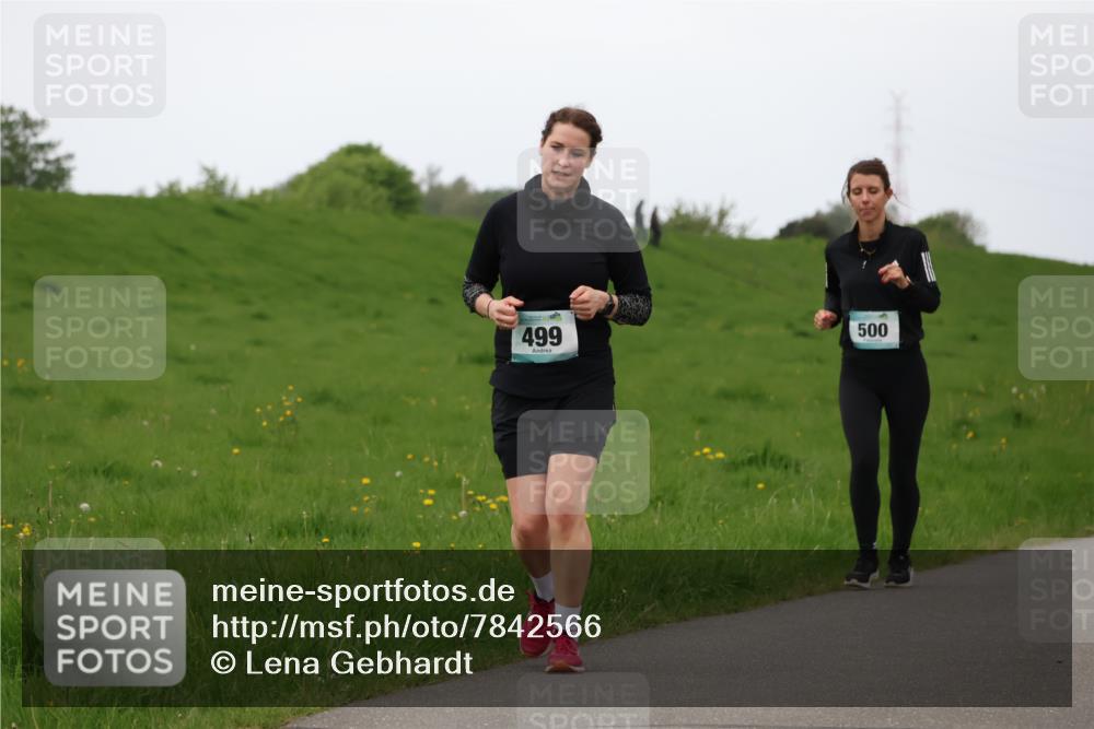 04.05.2025 - 8. Wedeler Halbmarathon Lena Gebhardt http://msf.ph/oto/7842566 04.05.2025 12:23:38 Laufen 499, 500 meine-sportfotos.de