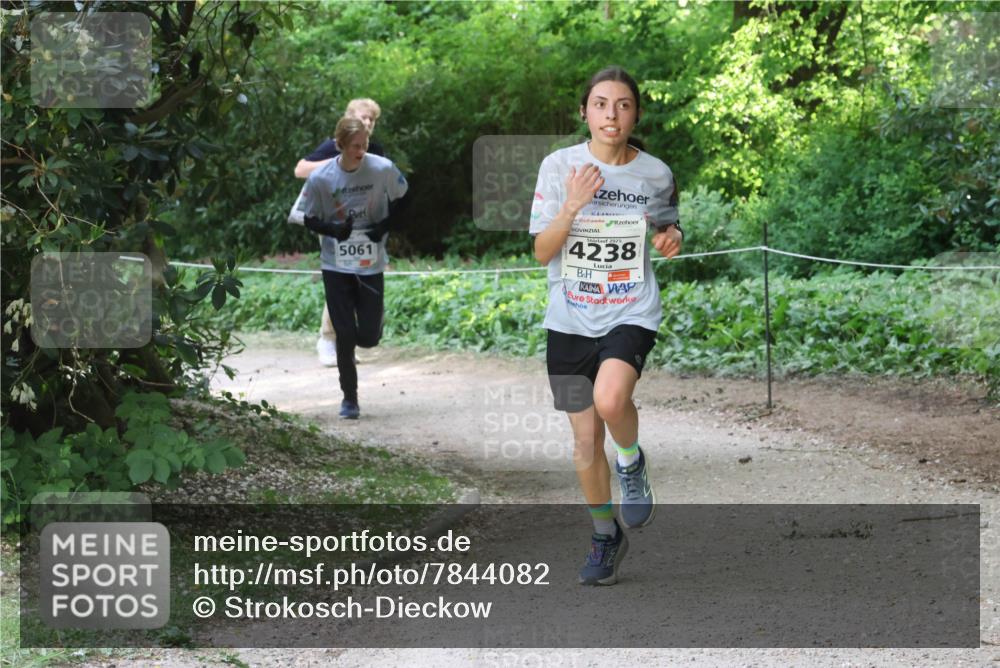 17.05.2025 - Störlauf Strokosch-Dieckow http://msf.ph/oto/7844082 17.05.2025 18:48:59 Laufen 5061, 2025, 4238 meine-sportfotos.de