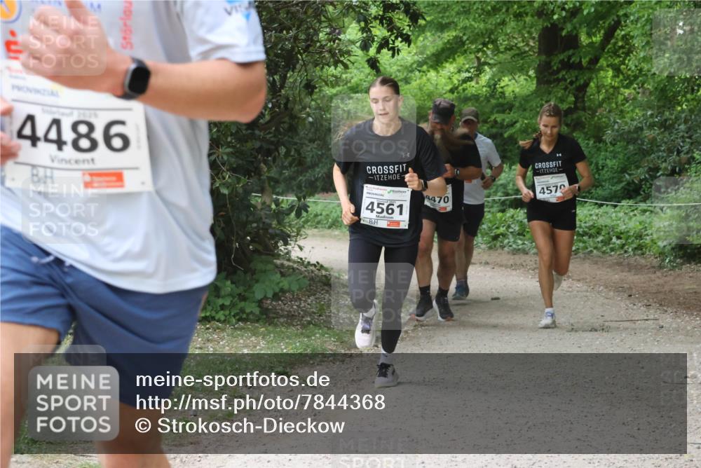 17.05.2025 - Störlauf Strokosch-Dieckow http://msf.ph/oto/7844368 17.05.2025 18:50:51 Laufen 4486, 4561, 4470, 4572 meine-sportfotos.de