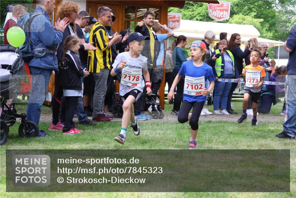 17.05.2025 - Störlauf Strokosch-Dieckow http://msf.ph/oto/7845323 17.05.2025 13:02:08 Laufen 7178, 25, 25, 2515, 7273, 7102, 5 meine-sportfotos.de