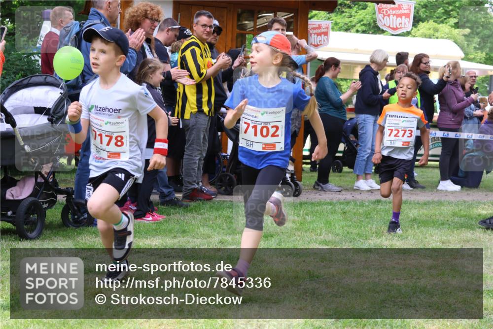 17.05.2025 - Störlauf Strokosch-Dieckow http://msf.ph/oto/7845336 17.05.2025 13:02:09 Laufen 2025, 178, 2025, 7102, 7273 meine-sportfotos.de