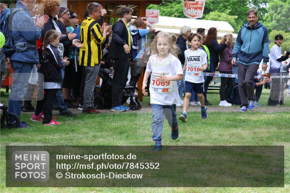 17.05.2025 - Störlauf Strokosch-Dieckow http://msf.ph/oto/7845352 17.05.2025 13:02:23 Laufen 14, 7069, 7018 meine-sportfotos.de