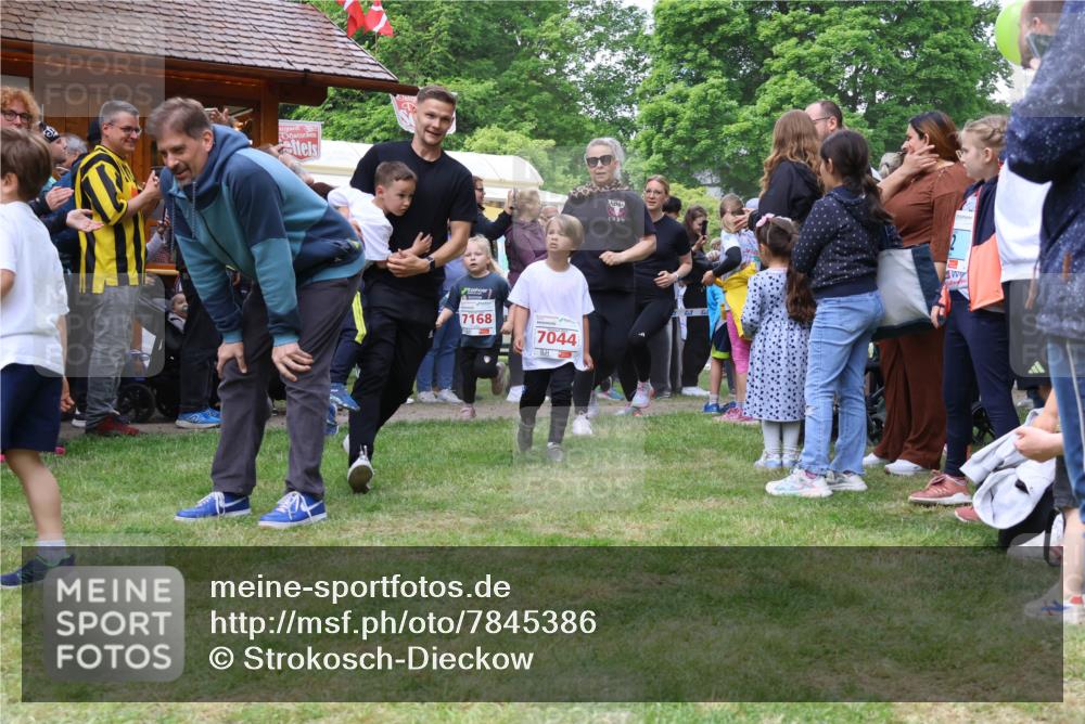 17.05.2025 - Störlauf Strokosch-Dieckow http://msf.ph/oto/7845386 17.05.2025 13:02:32 Laufen 7168, 7044 meine-sportfotos.de