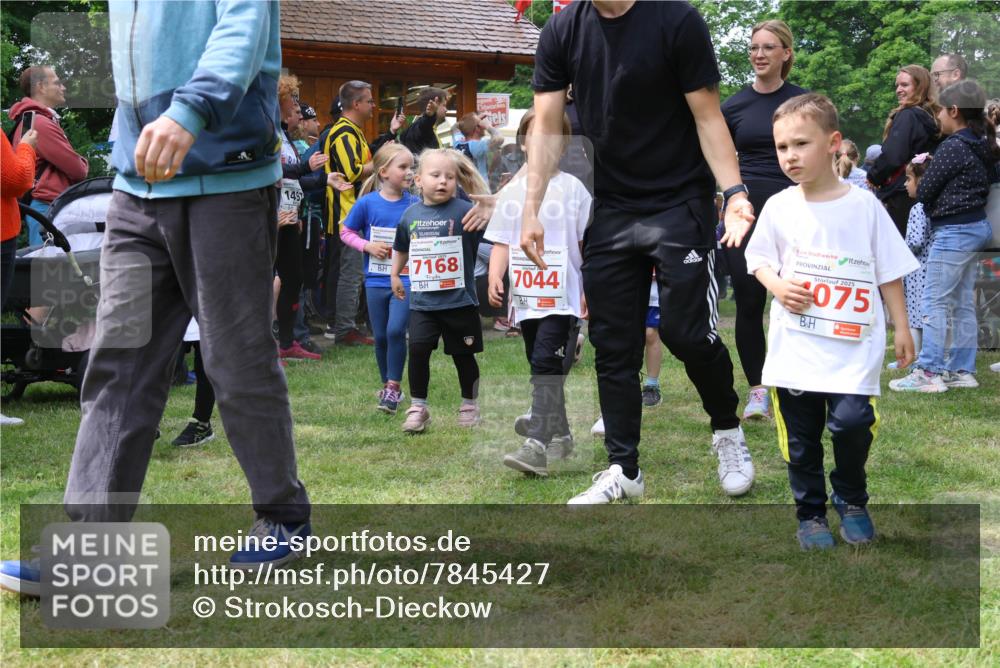 17.05.2025 - Störlauf Strokosch-Dieckow http://msf.ph/oto/7845427 17.05.2025 13:02:36 Laufen 149, 7168, 70441, 2025, 075 meine-sportfotos.de
