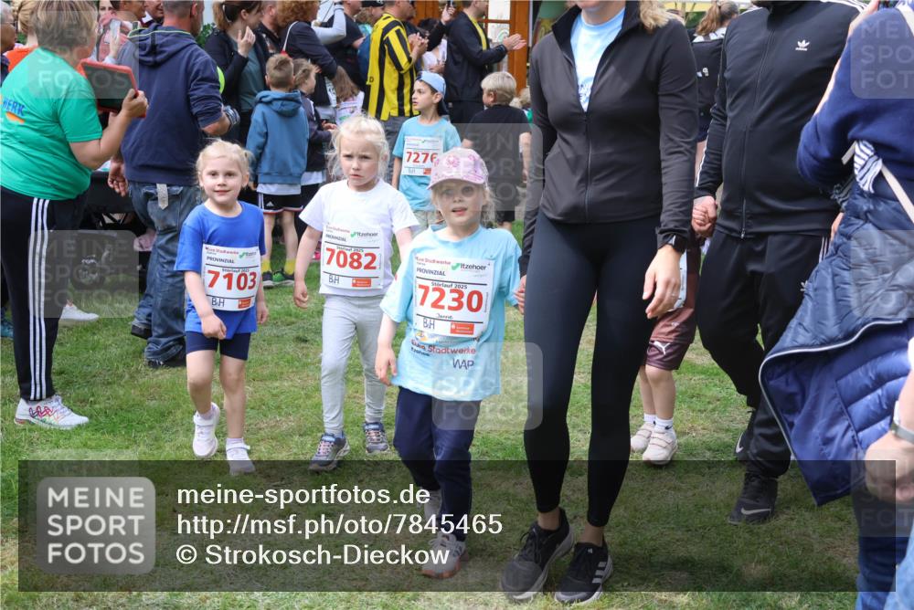 17.05.2025 - Störlauf Strokosch-Dieckow http://msf.ph/oto/7845465 17.05.2025 13:03:05 Laufen 7276, 2025, 7103, 2025, 7082, 2025, 7230 meine-sportfotos.de