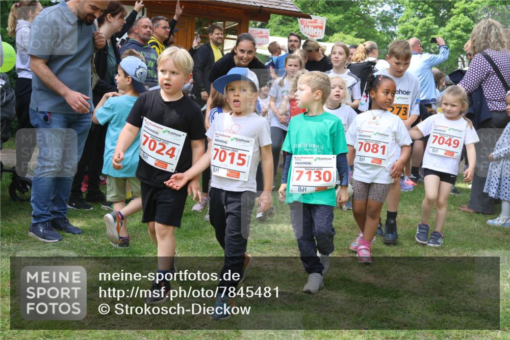 17.05.2025 - Störlauf Strokosch-Dieckow http://msf.ph/oto/7845481 17.05.2025 13:03:12 Laufen 6, 2025, 7024, 2025, 7015, 2025, 7130, 273, 7081, 7049 meine-sportfotos.de