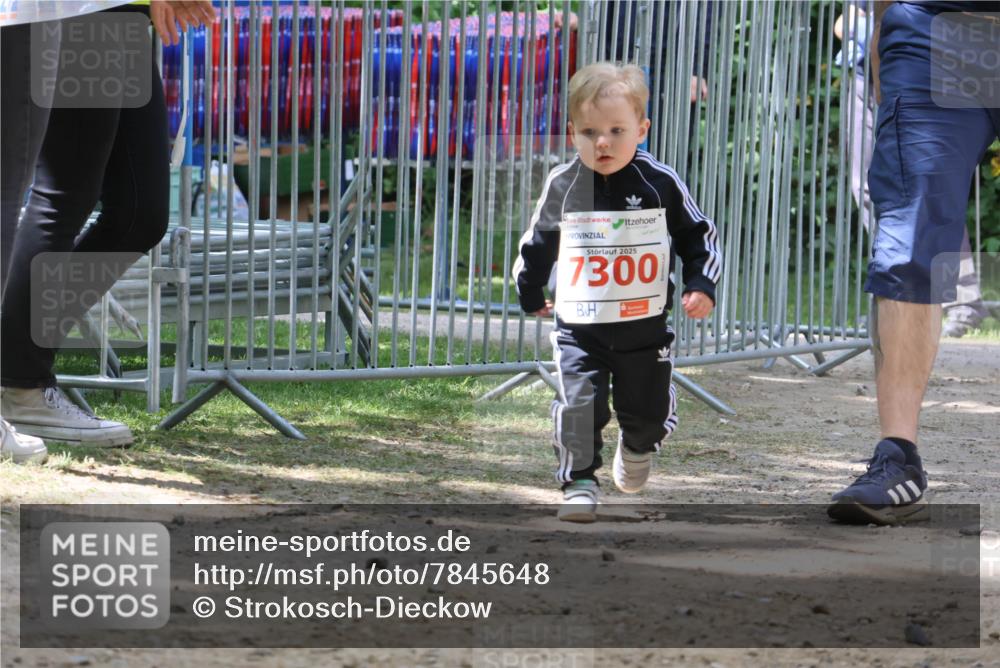 17.05.2025 - Störlauf Strokosch-Dieckow http://msf.ph/oto/7845648 17.05.2025 13:06:17 Laufen 2025, 7300 meine-sportfotos.de