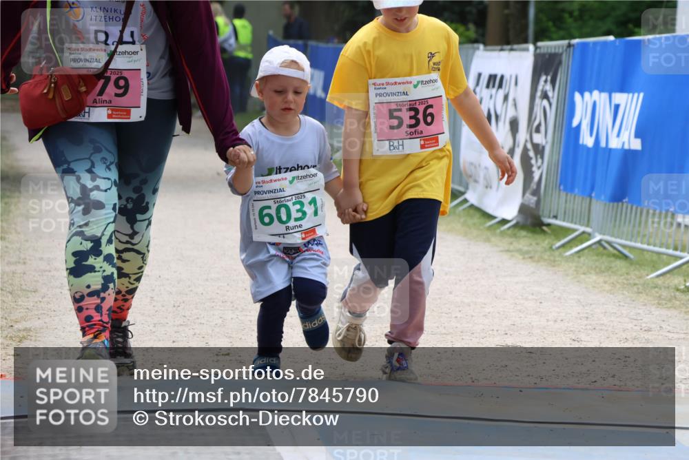 17.05.2025 - Störlauf Strokosch-Dieckow http://msf.ph/oto/7845790 17.05.2025 13:18:58 Laufen 245, 2025, 79, 2025, 6031, 2025, 536 meine-sportfotos.de