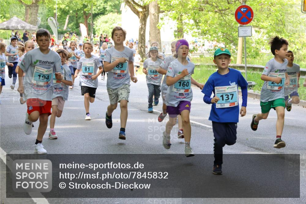 17.05.2025 - Störlauf Strokosch-Dieckow http://msf.ph/oto/7845832 17.05.2025 13:31:01 Laufen 158, 387, 194, 81, 83, 140, 160, 2025, 137, 194 meine-sportfotos.de