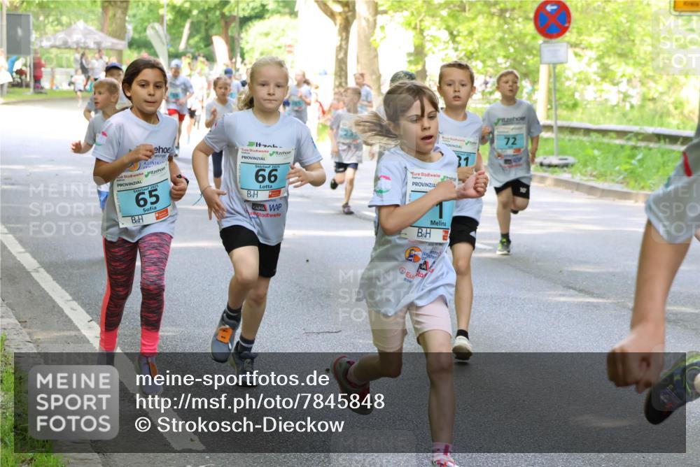 17.05.2025 - Störlauf Strokosch-Dieckow http://msf.ph/oto/7845848 17.05.2025 13:31:03 Laufen 2025, 65, 2025, 66, 31, 72, 10 meine-sportfotos.de